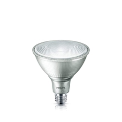 PHILIPS 467976 Led 120W Par38 Glass Bright (3000K), In White
