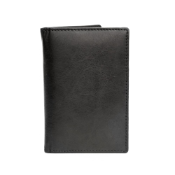 ASHLIN Leather Passport Cover - - In Black