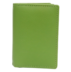 ASHLIN Abriella Leather Credit Card Caddy - In Green