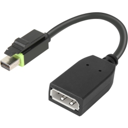 LENOVO Cable_Bo Ts Mini Dp to Dp Adapter