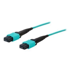 ADD-ON This Is A 25M Mpo (Female) to Mpo (Female) 12-Strand Aqua Crossover Riser-Rated