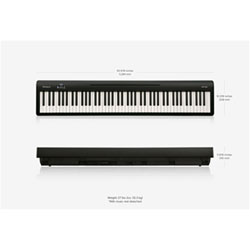 Best buy roland deals fp10