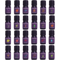 FLORAVERVE Essential Verve & Vigor Pack, Aromatherapy Essential Oils Top 24 Scents Starter Kit, 24 X 5Ml
