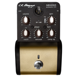 L.R BAGGS Session Acoustic Di