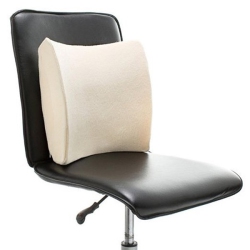 CHARLESCRAFT Pleasure Pedic Therapy Lumbar Memory Foam Cushion Support Pillow With Velour Cover