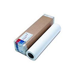 EPSON 24"x40' Exhibition Canvas Matte Paper Roll - (S045257)