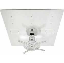 AMER NETWORKS Projector Drop-In Ceiling Mount (Amrdcp100Kit)