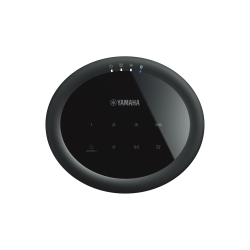 Yamaha MusicCast 20 WX-021 Wireless Speaker (Black) | Best Buy Canada
