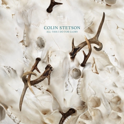 ALL THIS I DO FOR GLORY (LP) - STETSON COLIN [LP ]