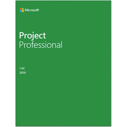 MICROSOFT Project Professional 2019