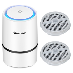 COSTWAY Mini Ionic Hepa Air Purifier W/2PCs 3-In-1 Composite Hepa Filter Nightlight, USB