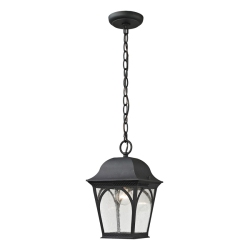 ELK LIGHTING Cape Ann 1 Light Outdoor Pendant Lantern In Matte Textured In Black