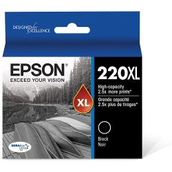 EPSON Durabrite Ultra Ink Lg In Black