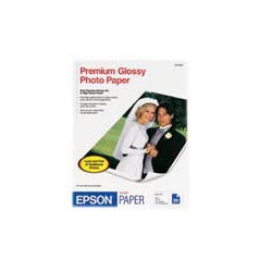 EPSON Paper-Premium Glossy Photo 24X100 Roll (S041638)