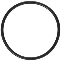 FRIGIDAIRE 154246901 Dishwasher Door Gasket