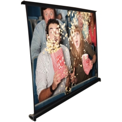 PYLE Prjtp46 Retractable Pull-Out-Style Manual Projector Screen (40-Inch)