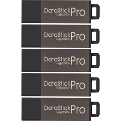 CENTON ELECTRONICS Datastick Pro USB 2.0 Flash Drives