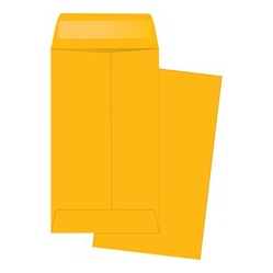 BUSINESS SOURCE Small Coin Kraft Envelopes (04441)
