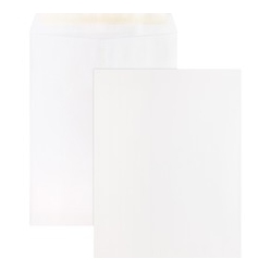 BUSINESS SOURCE Self Sealing Catalog Envelopes (65451)