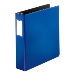 BUSINESS SOURCE Slanted D-Ring Binders (33111)