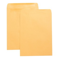 BUSINESS SOURCE Press-To-Seal Catalog Envelopes (42124)