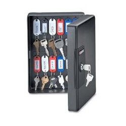 SENTRY SAFE Key Boxes With Key Tags And Labels (Kb25)