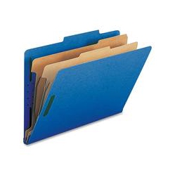 NATURE SAVER 2-Divider Legal Classifciation Folders (Sp17228)