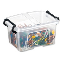 GREENSIDE Easy Lid 0.4L Storage Smart Box (Strata04L)