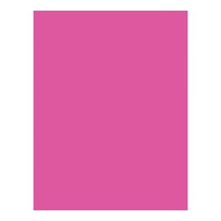 ASTROBRIGHTS Colored Cardstock (21041)