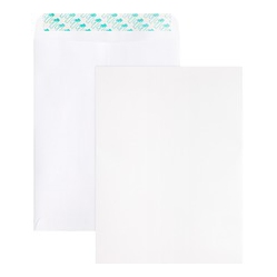 BUSINESS SOURCE Self Sealing Catalog Envelope (65450)