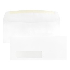 BUSINESS SOURCE Economical No. 10 Window Envelope (42251)
