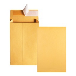 QUALITY PARK Kraft Redi-Strip Expansion Envelopes (93334)