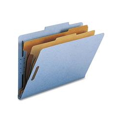 NATURE SAVER 2-Divider Legal Classifciation Folders (Sp17224)