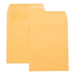BUSINESS SOURCE Press-To-Seal Catalog Envelopes (42123)