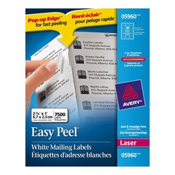 AVERY Mailing Label (05960)
