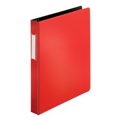 BUSINESS SOURCE Slanted D-Ring Binders (33108)