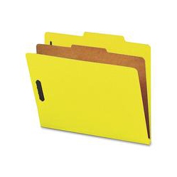 NATURE SAVER 1-Divider Recycled Classification Folders (Sp17204)