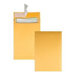 QUALITY PARK Kraft Redi-Strip Expansion Envelopes (93336)