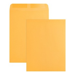 BUSINESS SOURCE Kraft Gummed Catalog Envelopes (42100)