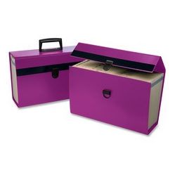 PENDAFLEX Portafile 01157 Expanding Organizer (01157)