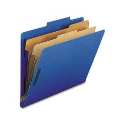 NATURE SAVER 2-Divider Letter Classification Folders (Sp17207)