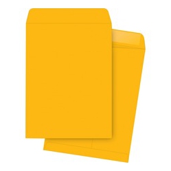 BUSINESS SOURCE Kraft Gummed Catalog Envelopes (42101)
