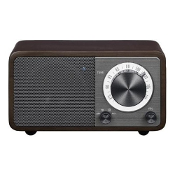 SANGEAN Mini Bluetooth Speaker With Fm Radio