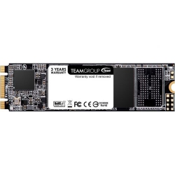 TEAMGROUP Team Group Ms30 M.2 2280 256GB SATA Iii Tlc Internal Solid State Drive