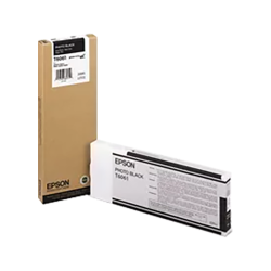 EPSON T606100 Ink / Inkjet Cartridge Photo In Black