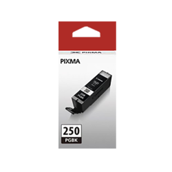 CANON Pgi-250 Ink / Inkjet Cartridge In Black