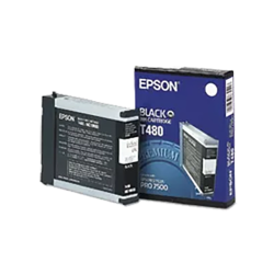 EPSON T480011 Ink / Inkjet Cartridge In Black