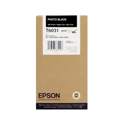EPSON T603100 Ink / Inkjet Cartridge Photo In Black