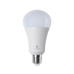 DAYLIGHT COMPANY Daylight 15 Watt Led Light Bulb