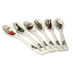 ROY KIRKHAM Set Of 6 Teaspoons - Garden Birds, Bone China Ceramic Made In England